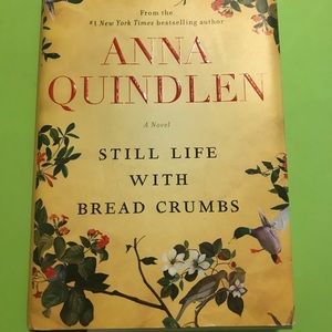 Still Life With Bread Crumbs Novel